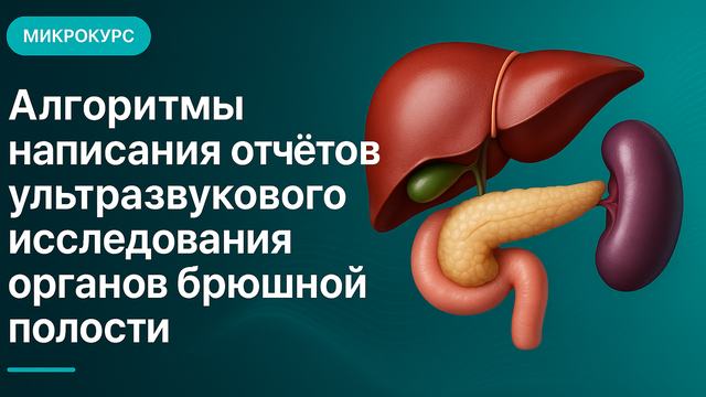 Algorithms for writing abdominal organ ultrasound reports