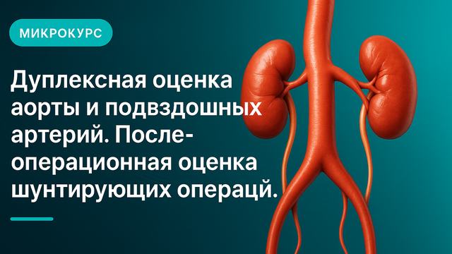 Аорта мен мықын артерияларын дуплексті бағалау. Шунттаушы операциялардан кейінгі бағалау.