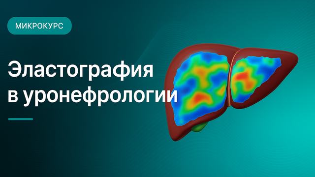 Elastography in uronephrology