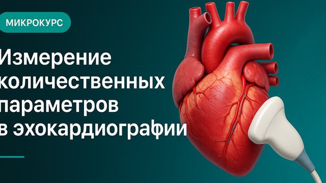 Measurement of quantitative parameters in echocardiography