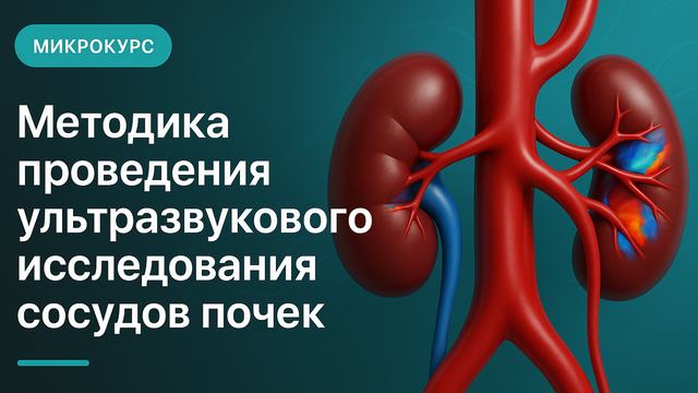 Бүйрек тамырларына ультрадыбыстық зерттеу жүргізу әдістемесі