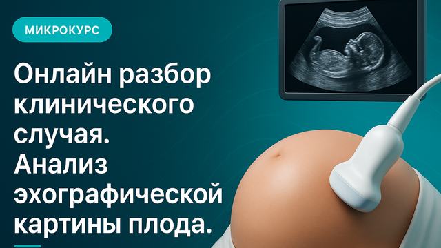 Online case study analysis. Analysis of the echographic picture of the fetus.