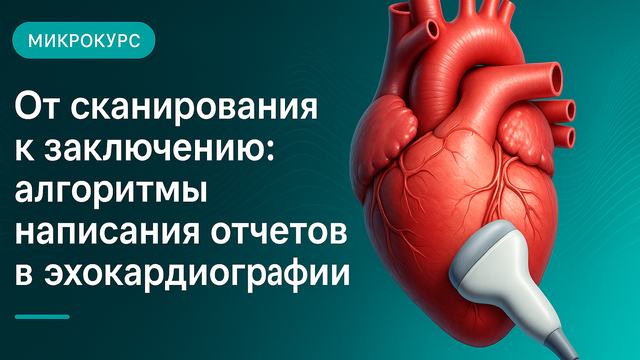 From scan to conclusion: report-writing algorithms in echocardiography
