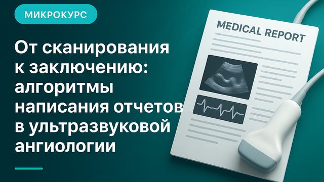 Сканерлеуден қорытындыға дейін: ультрадыбыстық ангиологияда есеп жазу алгоритмдері
