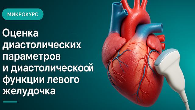 Assessment of the diastolic parameters and diastolic function of the left ventricle
