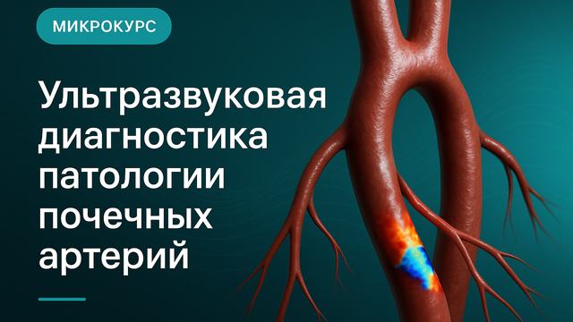Бүйрек артериялары патологиясын ультрадыбыстық диагностикалау