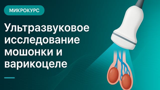 Ultrasound examination of the scrotum and varicocele