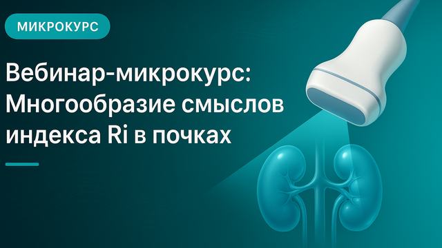 Webinar-microcourse: The diversity of meanings of the Ri index in the kidneys